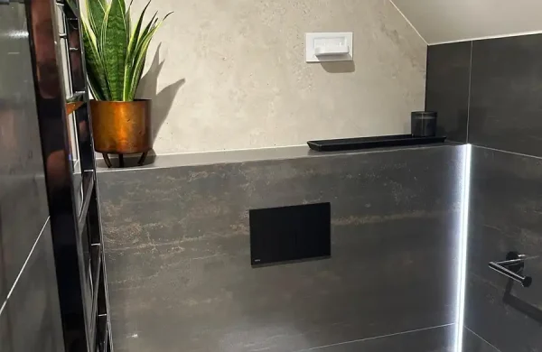 Designer Bathroom