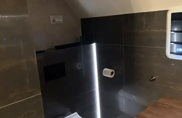 Designer Bathroom Toilet